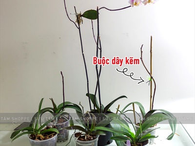 Cuộn dây kẽm màu bản dẹp dài 100m làm handmade PKHM-KEM-01